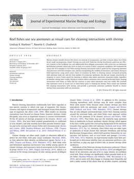 Reef Fishes Use Sea Anemones As Visual Cues for Cleaning Interactions with Shrimp