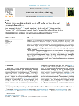 Adipose Tissue, Angiogenesis and Angio-MIR Under Physiological and Pathological Conditions