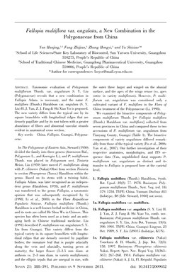 Fallopia Multiflora Var. Angulata, a New Combination in the Polygonaceae from China