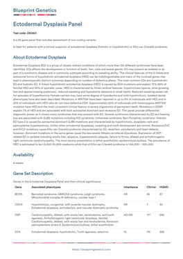 Blueprint Genetics Ectodermal Dysplasia Panel