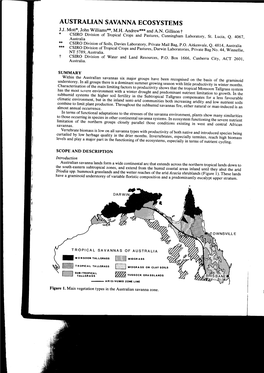 Australian Savanna Eco System S J.J