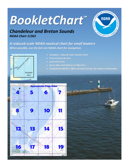 Bookletchart™ Chandeleur and Breton Sounds NOAA Chart 11363