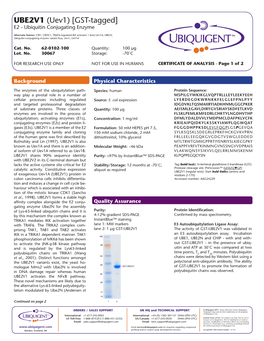 UBE2V1 (Uev1) [GST-Tagged] E2 - Ubiquitin Conjugating Enzyme