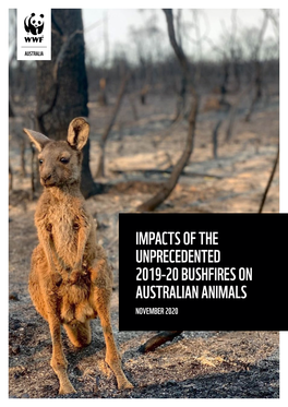 IMPACTS of the UNPRECEDENTED 2019-20 BUSHFIRES on AUSTRALIAN ANIMALS NOVEMBER 2020 Acknowledgements