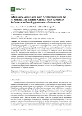Ectomycota Associated with Arthropods from Bat Hibernacula in Eastern Canada, with Particular Reference to Pseudogymnoascus Destructans