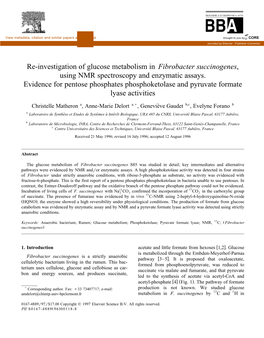 Re-Investigation of Glucose Metabolism in Fibrobacter Succinogenes, Using NMR Spectroscopy and Enzymatic Assays