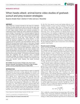 When Hawks Attack: Animal-Borne Video Studies of Goshawk Pursuit