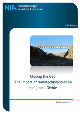 Closing the Gap: the Impact of Nanotechnologies on the Global Divide