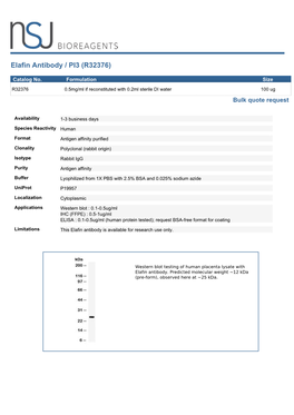 Elafin Antibody / PI3 (R32376)