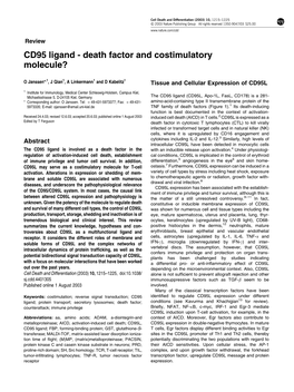 CD95 Ligand - Death Factor and Costimulatory Molecule?