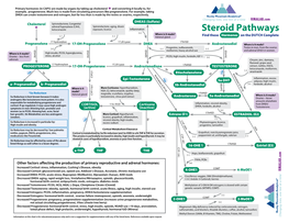 Steroid Pathways