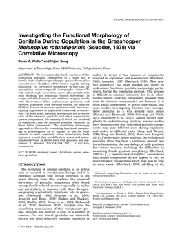 Investigating the Functional Morphology of Genitalia During Copulation in the Grasshopper Melanoplus Rotundipennis (Scudder, 1878) Via Correlative Microscopy