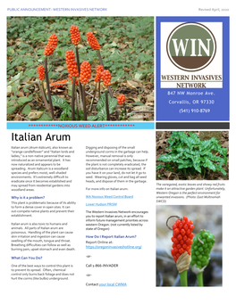 Italian Arum Flyer