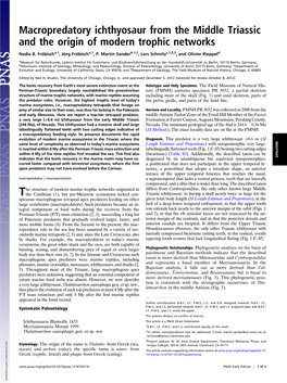 Macropredatory Ichthyosaur from the Middle Triassic and the Origin of Modern Trophic Networks