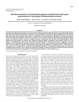 Individual Variation in Rod Absorbance Spectra Correlated with Opsin Gene Polymorphism in Sand Goby (Pomatoschistus Minutus)