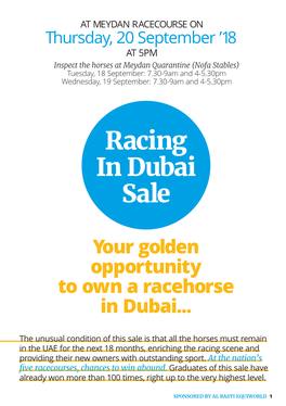 Racing in Dubai Sale