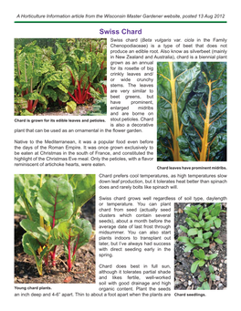 Swiss Chard Swiss Chard (Beta Vulgaris Var