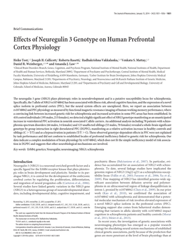 Effects of Neuregulin 3 Genotype on Human Prefrontal Cortex Physiology