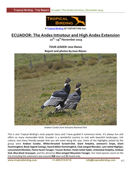 ECUADOR: the Andes Introtour and High Andes Extension 10Th- 19Th November 2019