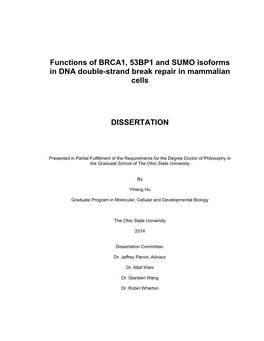 Functions of BRCA1, 53BP1 and SUMO Isoforms in DNA Double-Strand Break Repair in Mammalian Cells