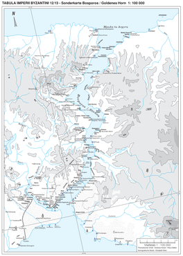 Sonderkarte Bosporos / Goldenes Horn 1: 100 000