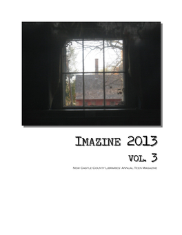 Imazine 2013