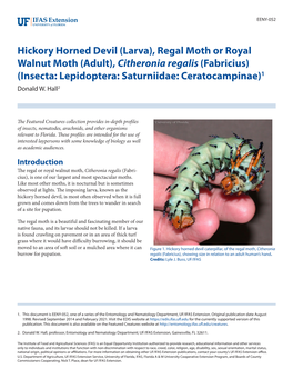 (Larva), Regal Moth Or Royal Walnut Moth (Adult), Citheronia Regalis (Fabricius) (Insecta: Lepidoptera: Saturniidae: Ceratocampinae)1 Donald W