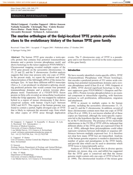 The Murine Orthologue of the Golgi-Localized TPTE Protein Provides Clues to the Evolutionary History of the Human TPTE Gene Family