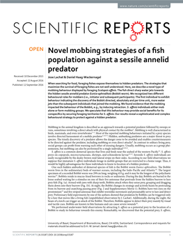 Novel Mobbing Strategies of a Fish Population Against a Sessile