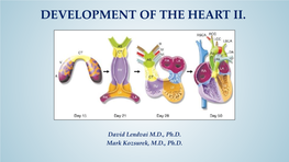 Development of Right Ventricle