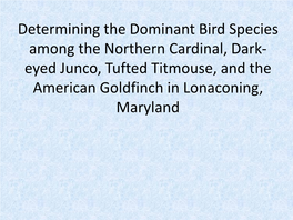 Determining the Dominant Bird Species Among the Northern