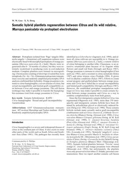 Somatic Hybrid Plantlets Regeneration Between Citrus and Its Wild Relative, Murraya Paniculata Via Protoplast Electrofusion