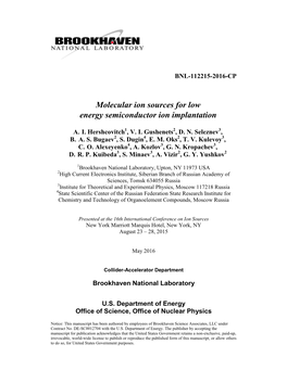 Molecular Ion Sources for Low Energy Semiconductor Ion Implantation