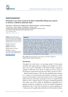 Misgurnus) Species in Austria Verified by Molecular Data