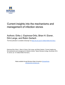 Current Insights Into the Mechanisms and Management of Infection Stones