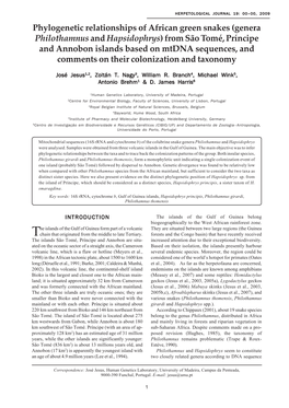 Phylogenetic Relationships of African Green Snakes