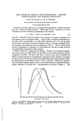 The Colors of Firefly Bioluminescence: Enzyme Configuration and Species Specificity by H