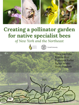 Creating a Pollinator Garden for Native Specialist Bees of New York and the Northeast