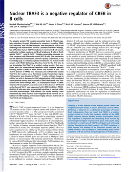 Nuclear TRAF3 Is a Negative Regulator of CREB in B Cells