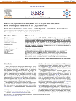 UDP-N-Acetylglucosamine Transporter and UDP-Galactose Transporter