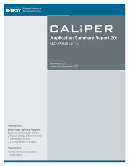 Caliper Application Summary Report 20: LED PAR38 Lamps