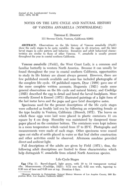 Notes on the Life Cycle and Natural History of Vanessa Annabella (Nymphalidae)