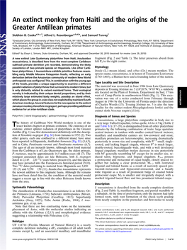 An Extinct Monkey from Haiti and the Origins of the Greater Antillean Primates