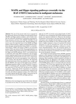 MAPK and Hippo Signaling Pathways Crosstalk Via the RAF-1/MST-2 Interaction in Malignant Melanoma