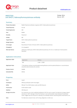 Anti-AHCY / Adenosylhomocysteinase Antibody (ARG57333)