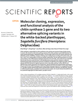 Molecular Cloning, Expression, and Functional Analysis of the Chitin