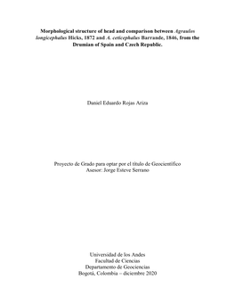 Morphological Structure of Head and Comparison Between Agraulos Longicephalus Hicks, 1872 and A