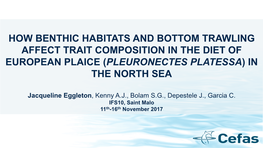 How Benthic Habitats and Bottom Trawling Affect Trait Composition in the Diet of European Plaice (Pleuronectes Platessa) in the North Sea