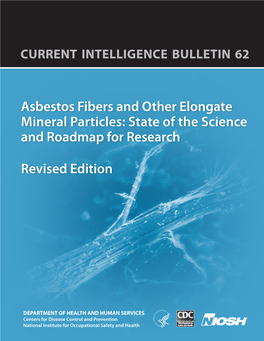 Asbestos Fibers and Other Elongate Mineral Particles: State of the Science and Roadmap for Research