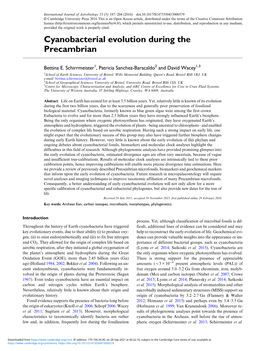 Cyanobacterial Evolution During the Precambrian